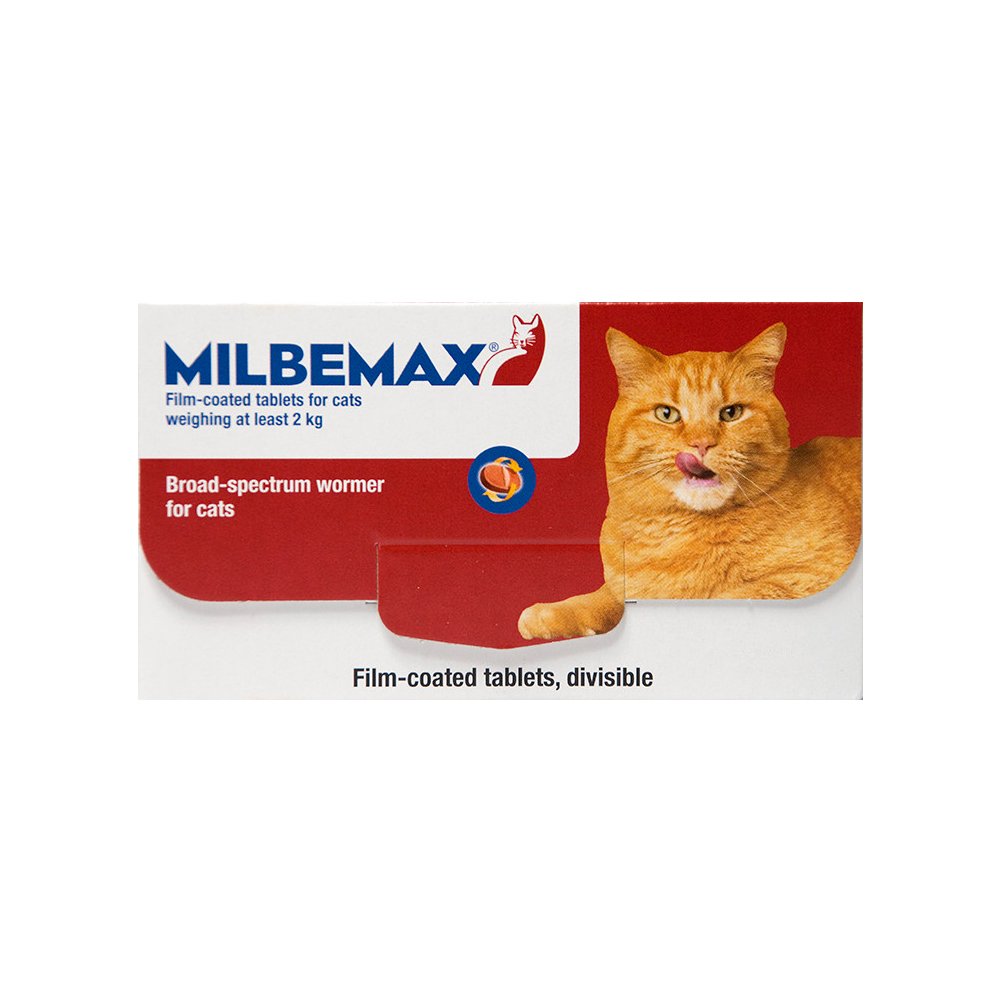 Milbemax for Cats | Newstead Veterinary 