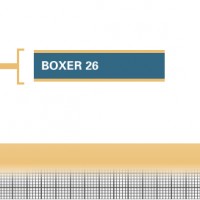 Boxer-26-Adult