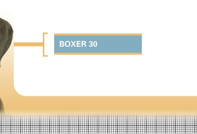 Boxer-30-Junior