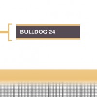 Bulldog-24-Adult