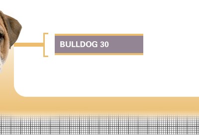 Bulldog-30-Junior