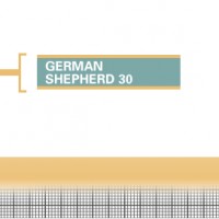 German-Shepherd-30-Junior