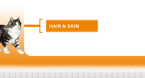 Hair-Skin-33