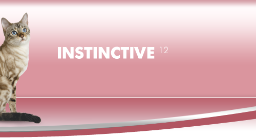 Instinctive-12-in-gravy