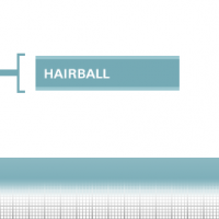 Intense-Hairball-34