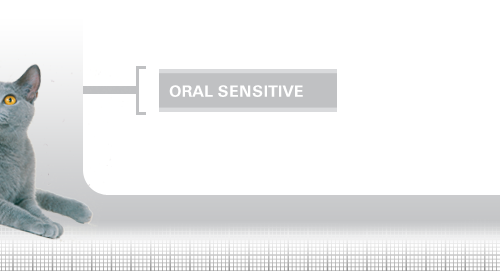 Oral-Sensitive-30