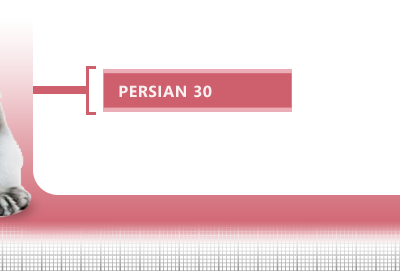 Persian-30