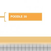 Poodle-30