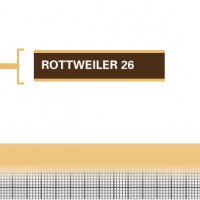 Rottweiler-26