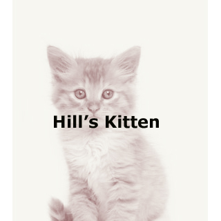 Hill's Kitten