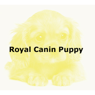 Royal Canin Puppy