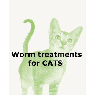 Worm Treatments for Cats