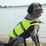 Doggy Life Jacket - Yellow