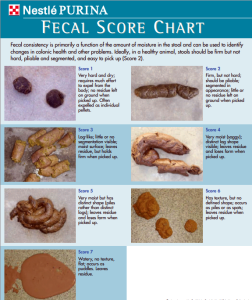 fecal-chart