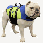 neoprenedogfloatcoat_blueandyellow